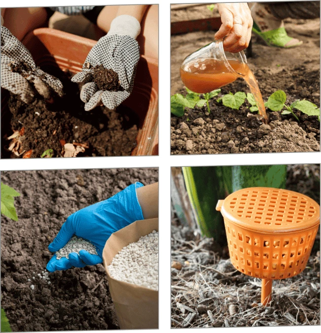 Various methods of fertilization shown, including compost application, liquid fertilizer pouring, granular fertilizer spreading, and slow-release fertilizer devices, illustrating options for how to fertilize vertical gardens in small spaces.