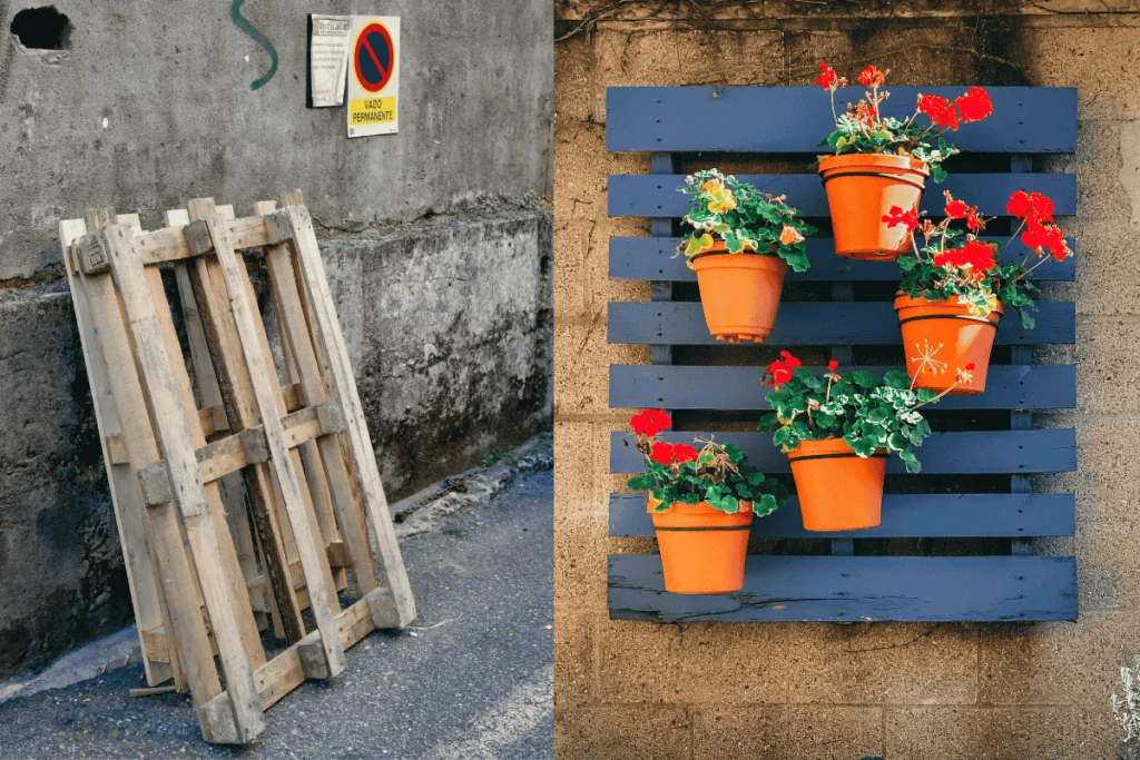 Building Vertical Gardens with Recycled Materials: a creative example showcasing a transition from wooden pallets to a vibrant vertical garden using painted pallets and potted flowers.