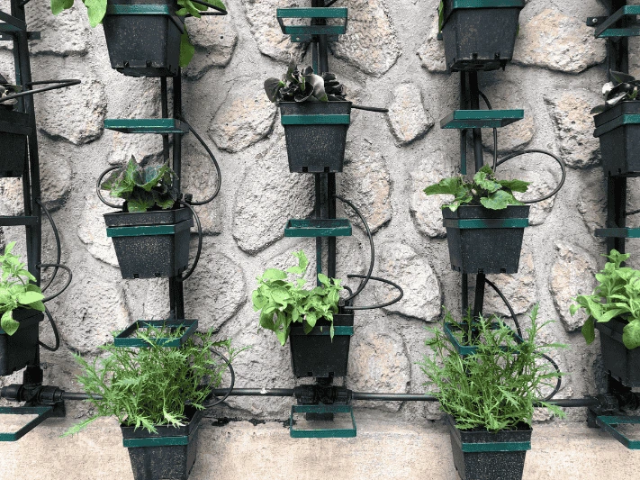 Drip irrigation system installed in a vertical garden, demonstrating efficient watering techniques essential for caring for vertical gardens.