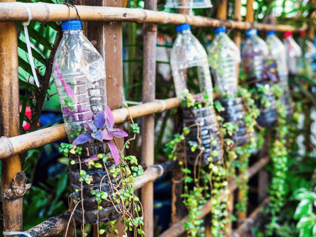 Close-up view of PET bottles mounted on a wooden structure with trailing plants, demonstrating layout planning for sustainable vertical gardens.