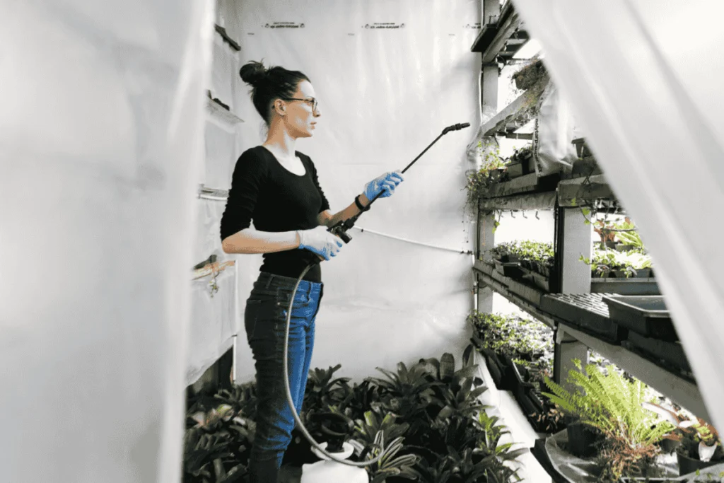 A woman wearing gloves and holding a pressure sprayer is watering plants in a greenhouse with vertical garden shelves. Some plants appear overgrown, while others look dry, highlighting common mistakes in vertical gardens such as improper watering and maintenance.