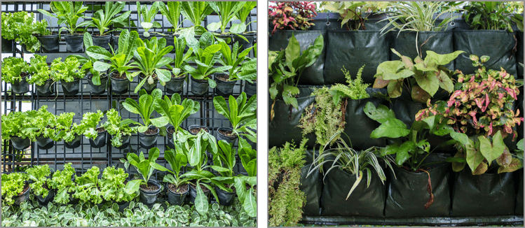 Various vertical gardening systems: on the left, leafy greens like lettuce growing in small pots on a vertical metal frame; on the right, assorted plants thriving in a fabric wall planter with multiple pockets.