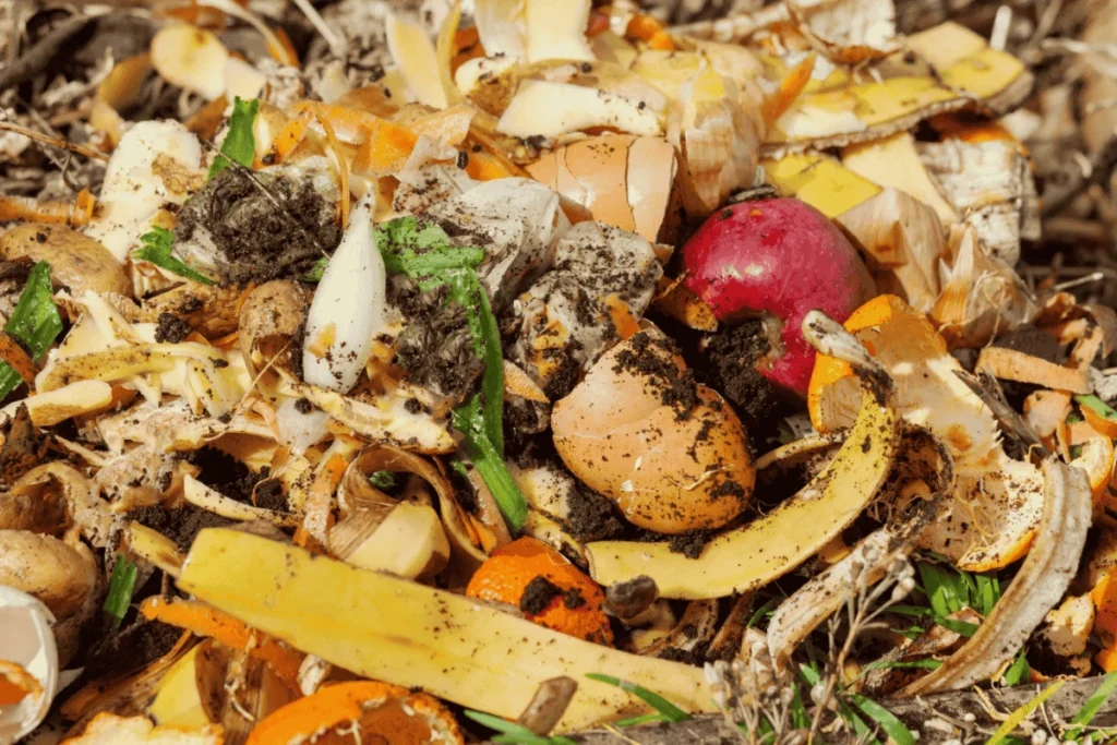 Close-up de resΓduos orgΓ’nicos frescos, incluindo cascas de frutas, vegetais e ovos, prontos para iniciar o processo de compostagem.
