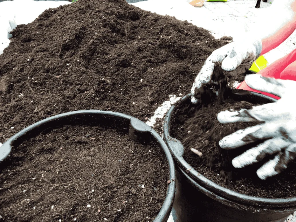How to Use Homemade Compost in Vertical Gardens: Gloved hands filling a container with rich, homemade compost, demonstrating soil preparation for sustainable vertical gardening.