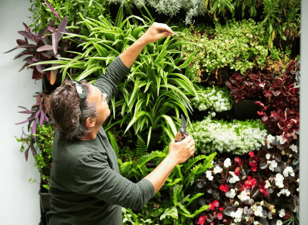 Person pruning plants on an organic vertical garden, demonstrating essential maintenance practices to keep the garden healthy and thriving.