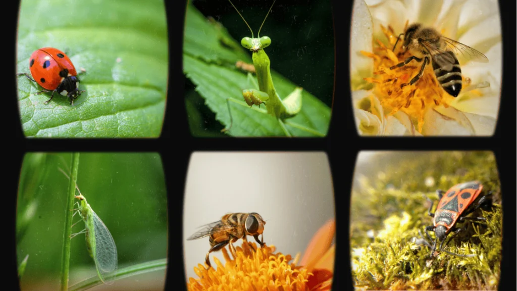 Various beneficial insects, including bees and ladybugs, supporting natural methods to prevent pests in vertical gardens naturally.