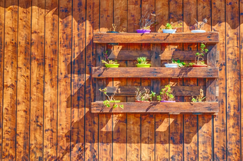 Vertical gardens with pallets mounted on a rustic wooden wall. The pallet structure has three shelves holding small colorful pots with plants, some green and others dried. Sunlight casts geometric shadows on the wall, highlighting the wood's texture.