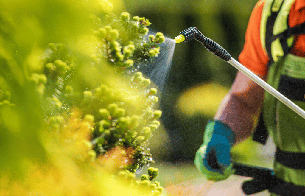A gardener applying liquid fertilizer with a spray nozzle to plants, ensuring proper nutrition for healthy growth in Vertical Gardens in Small Spaces. Using organic or balanced fertilizers is essential for maintaining plant vitality.