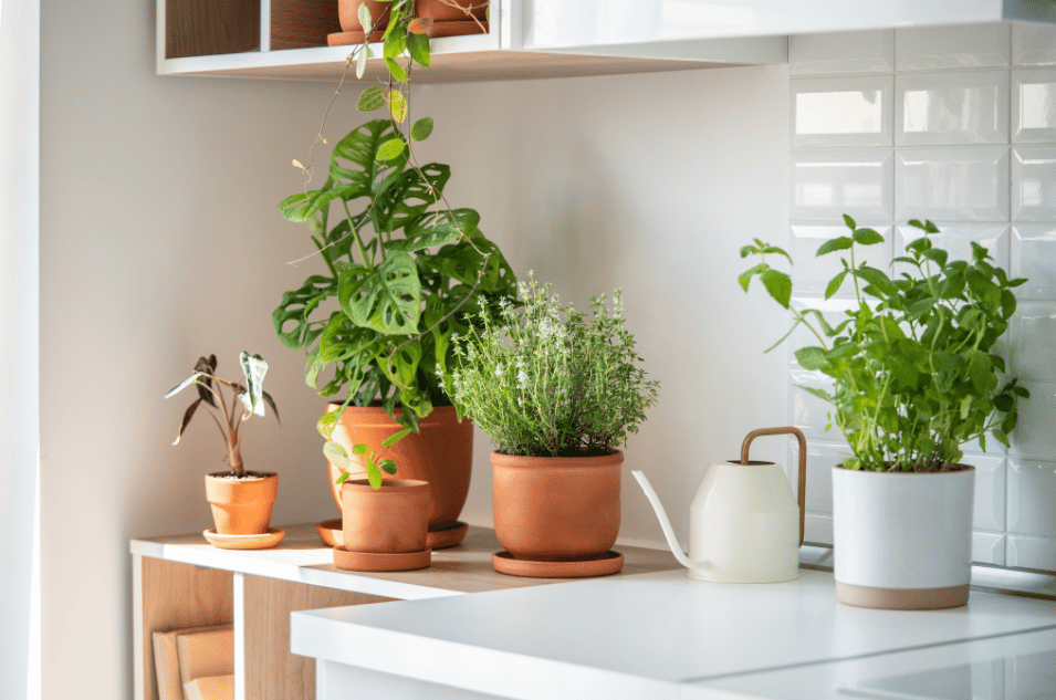 A well-lit modern kitchen with potted aromatic plants for vertical gardens, including mint and thyme, placed on a white countertop with terracotta and ceramic pots, creating a fresh and natural atmosphere.