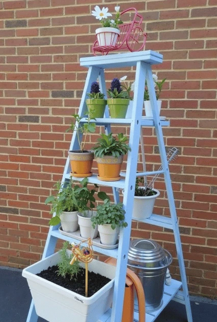 A DIY vertical garden made from an old ladder, painted blue and repurposed as a plant stand. This Ideal Support for Your Vertical Garden in the Recycled Materials section showcases various potted plants arranged on the ladderβs steps, creating a space-saving and eco-friendly gardening solution.