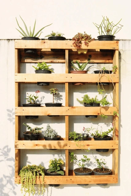 Ideal Support for Your Vertical Garden β A DIY wooden pallet mounted on a white wall, transformed into a functional vertical garden. The structure holds multiple small black pots filled with various succulents, herbs, and ornamental plants, showcasing an efficient and space-saving gardening solution. The rustic wood complements the greenery, creating an aesthetically pleasing and practical support for a thriving vertical garden.