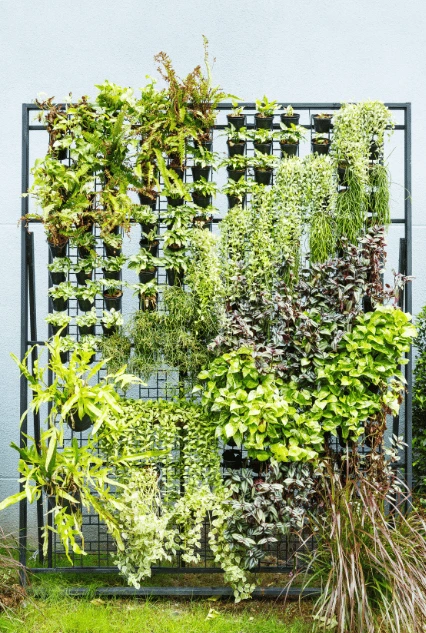 A sturdy and modern metal frame supporting a lush vertical garden. The grid structure allows for easy plant organization, providing a durable and stylish solution for small spaces. Perfect for those looking for an Ideal Support for Your Vertical Garden in urban and contemporary settings.