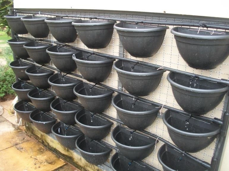 Wall-mounted vertical garden system with multiple black hanging pots connected to a drip irrigation system, perfect for DIY vertical gardens.